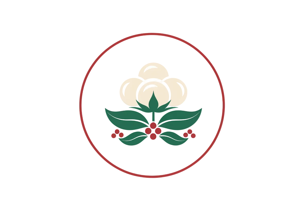 In Christmas colours 